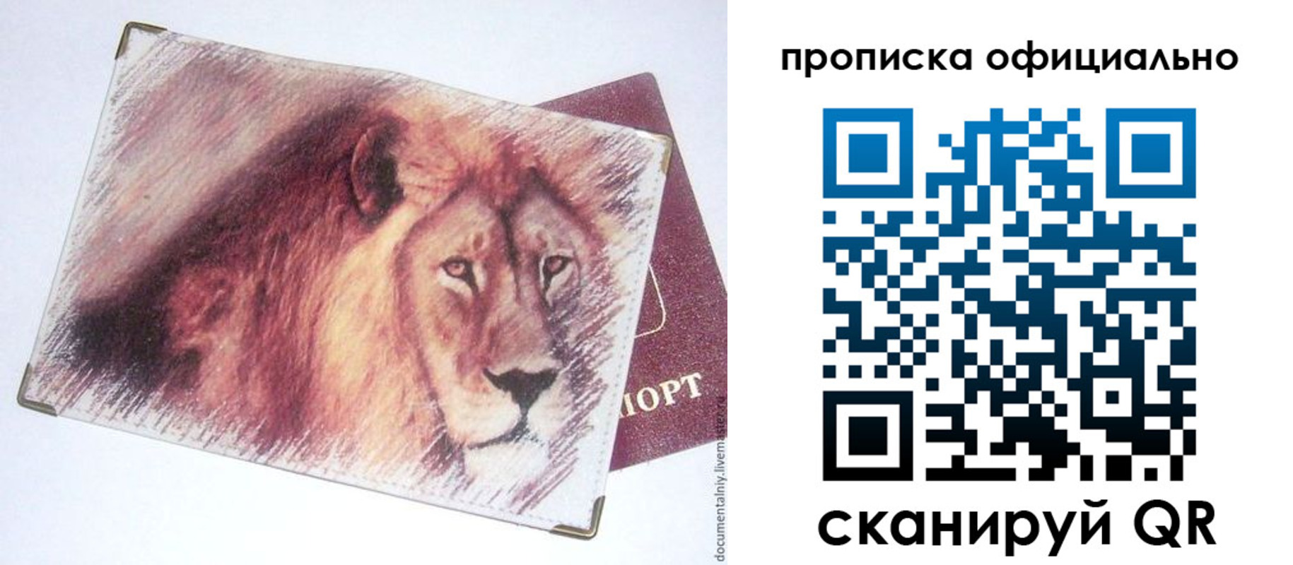 прописка иностранных граждан в Петропавловске-Камчатском