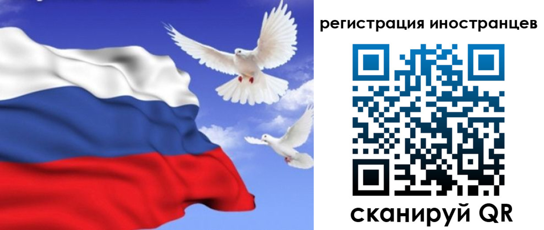 пропишу в квартире в Петропавловске-Камчатском